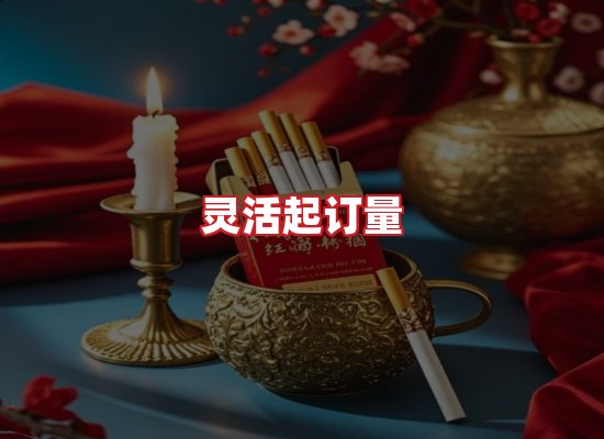 专业团队